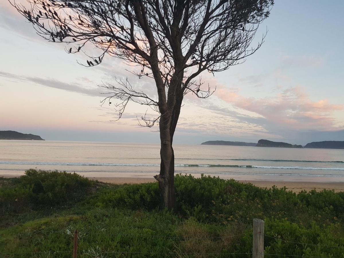 Beachside Villa Ettalong Beach Esterno foto